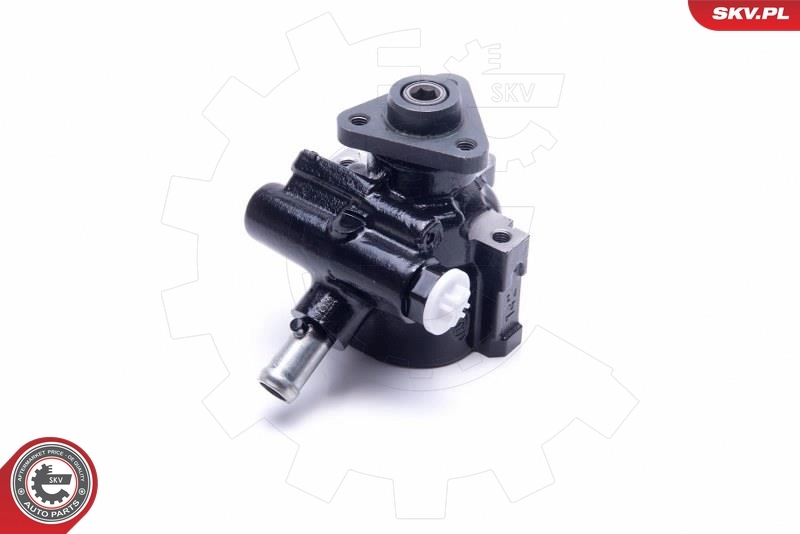 Hydraulic Pump, steering 10SKV302