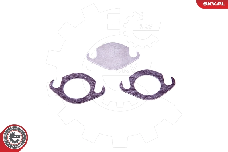 ESEN SKV 14SKV506 Repair Set, EGR valve