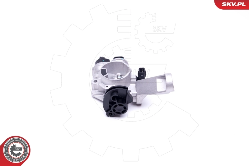 Throttle Body 12SKV082