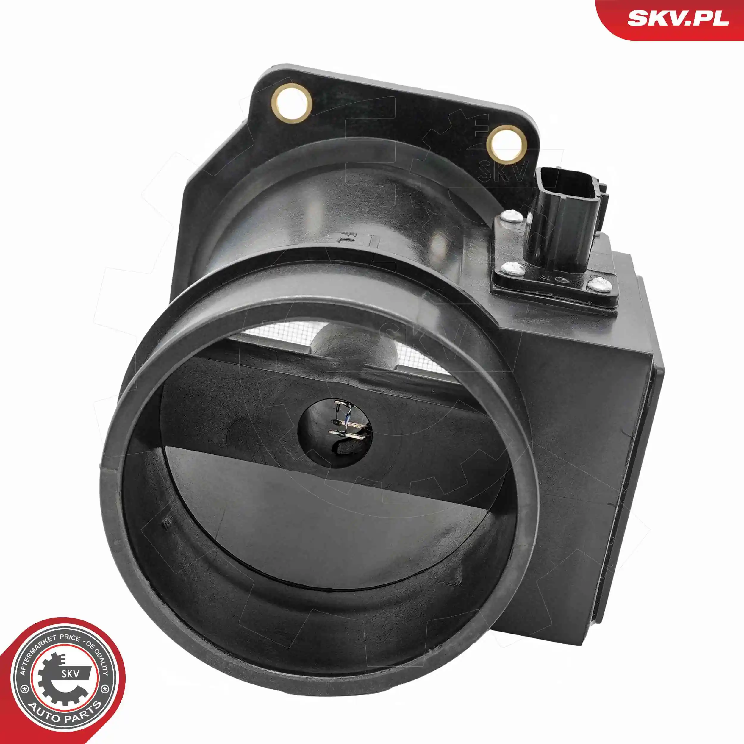Mass Air Flow Sensor 07SKV270