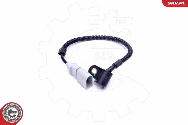 Sensor, camshaft position 17SKV486