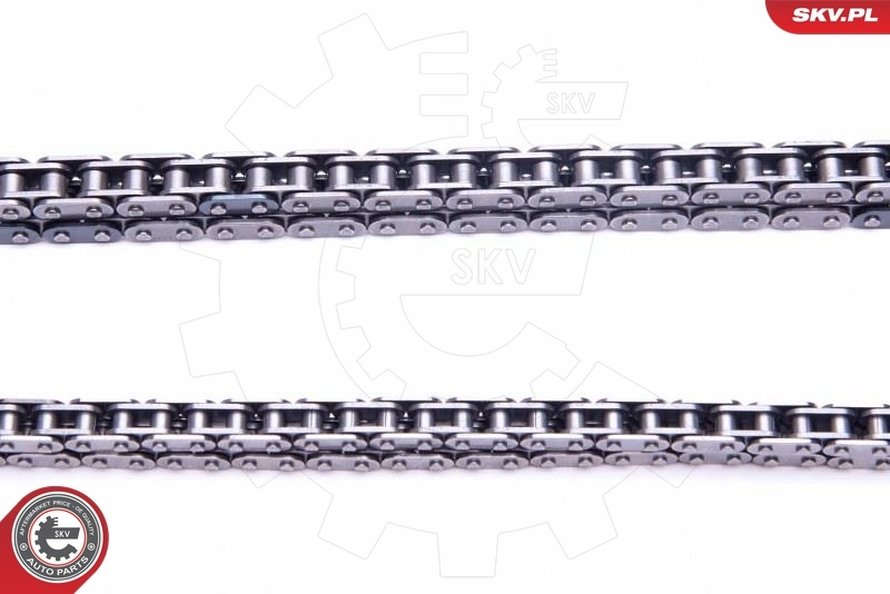 Timing Chain Kit 21SKV188