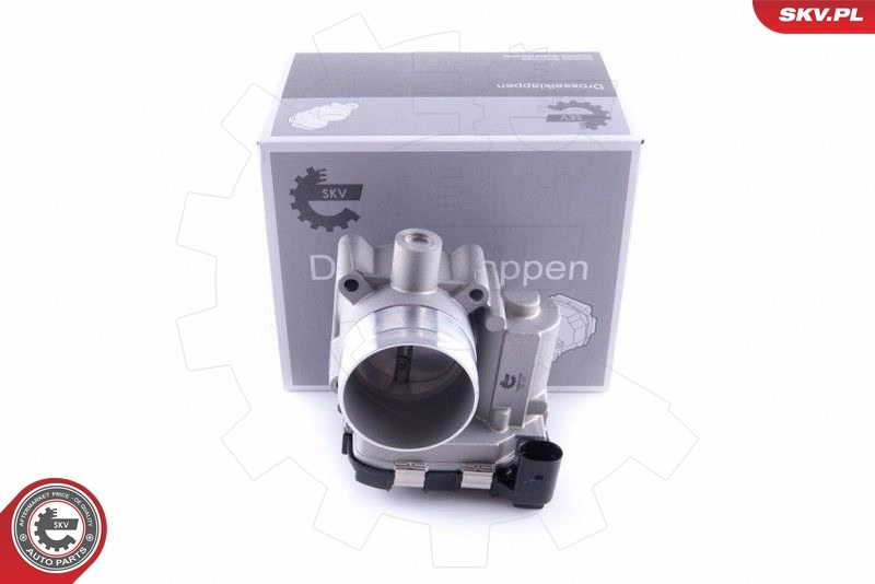 Throttle Body 12SKV100