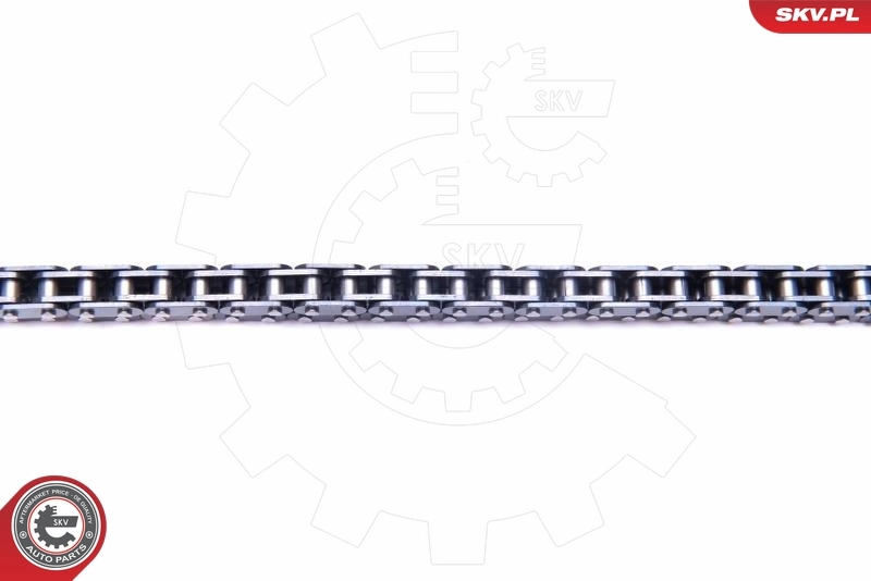 Timing Chain Kit 21SKV186