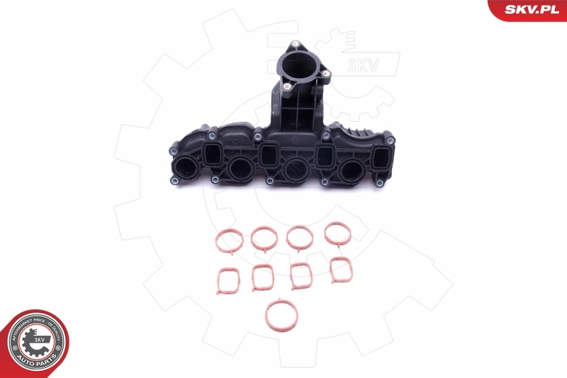 Intake Manifold Module 49SKV008