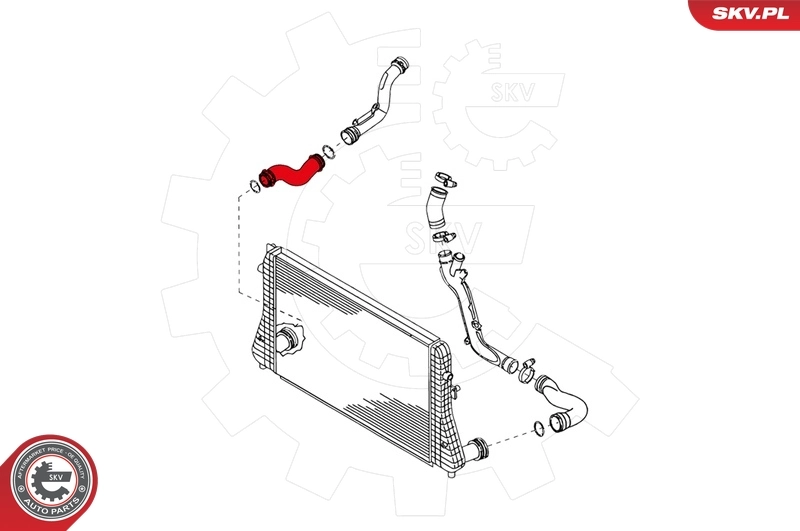Charge Air Hose 24SKV052