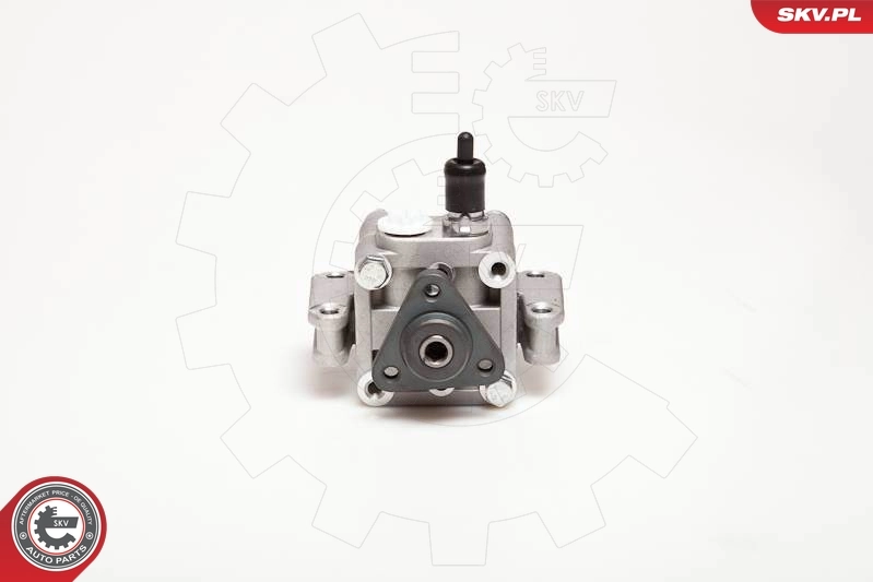 Hydraulic Pump, steering 10SKV109