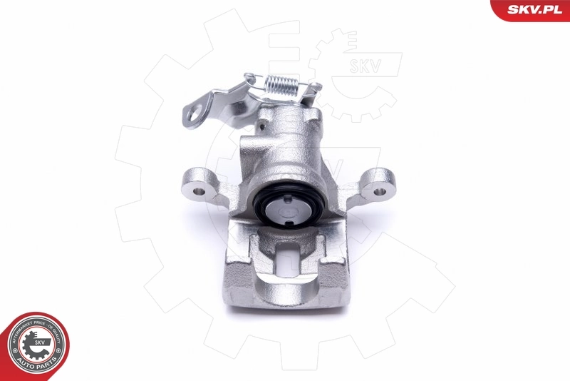 Brake Caliper 46SKV844