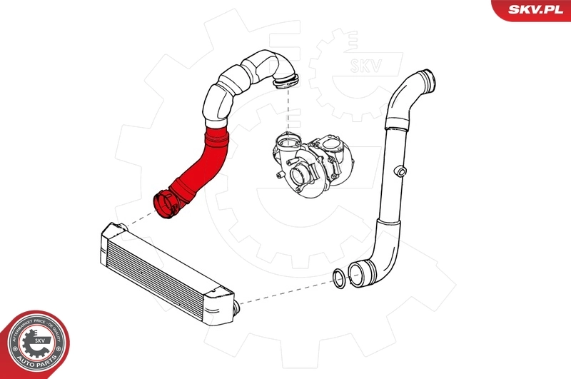 Charge Air Hose 24SKV173