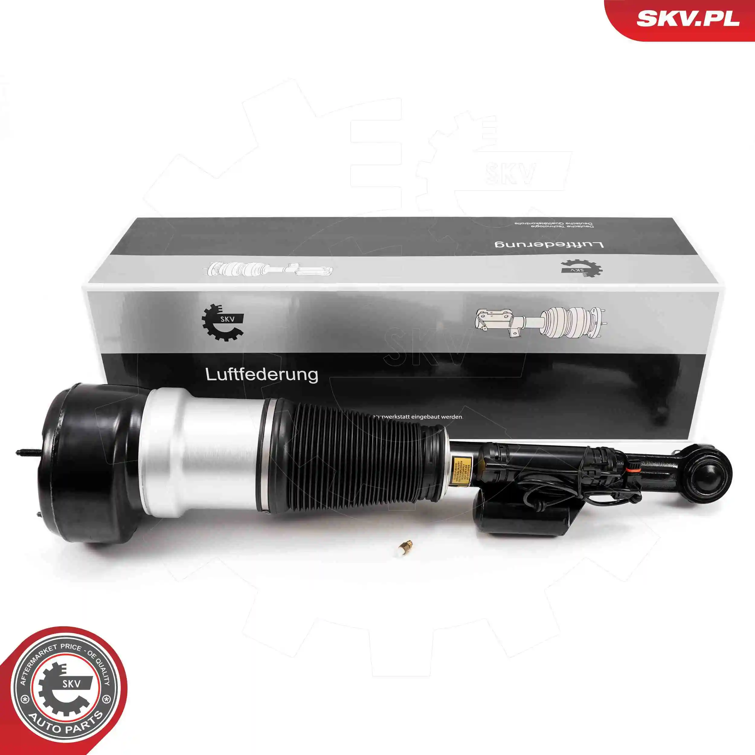 Air Suspension Strut 58SKV722