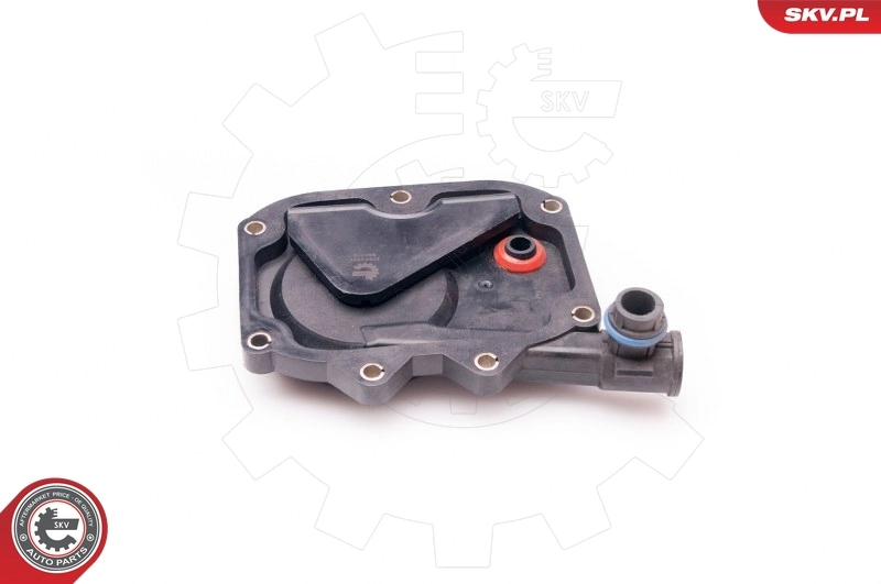 Hose, crankcase ventilation 31SKV031