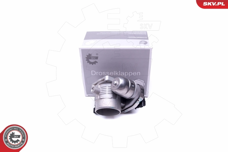 Throttle Body 12SKV079