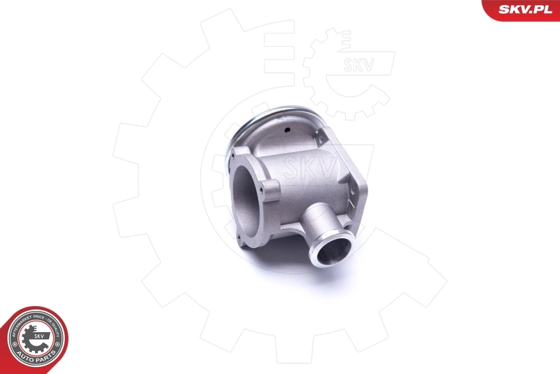 EGR Valve 14SKV177