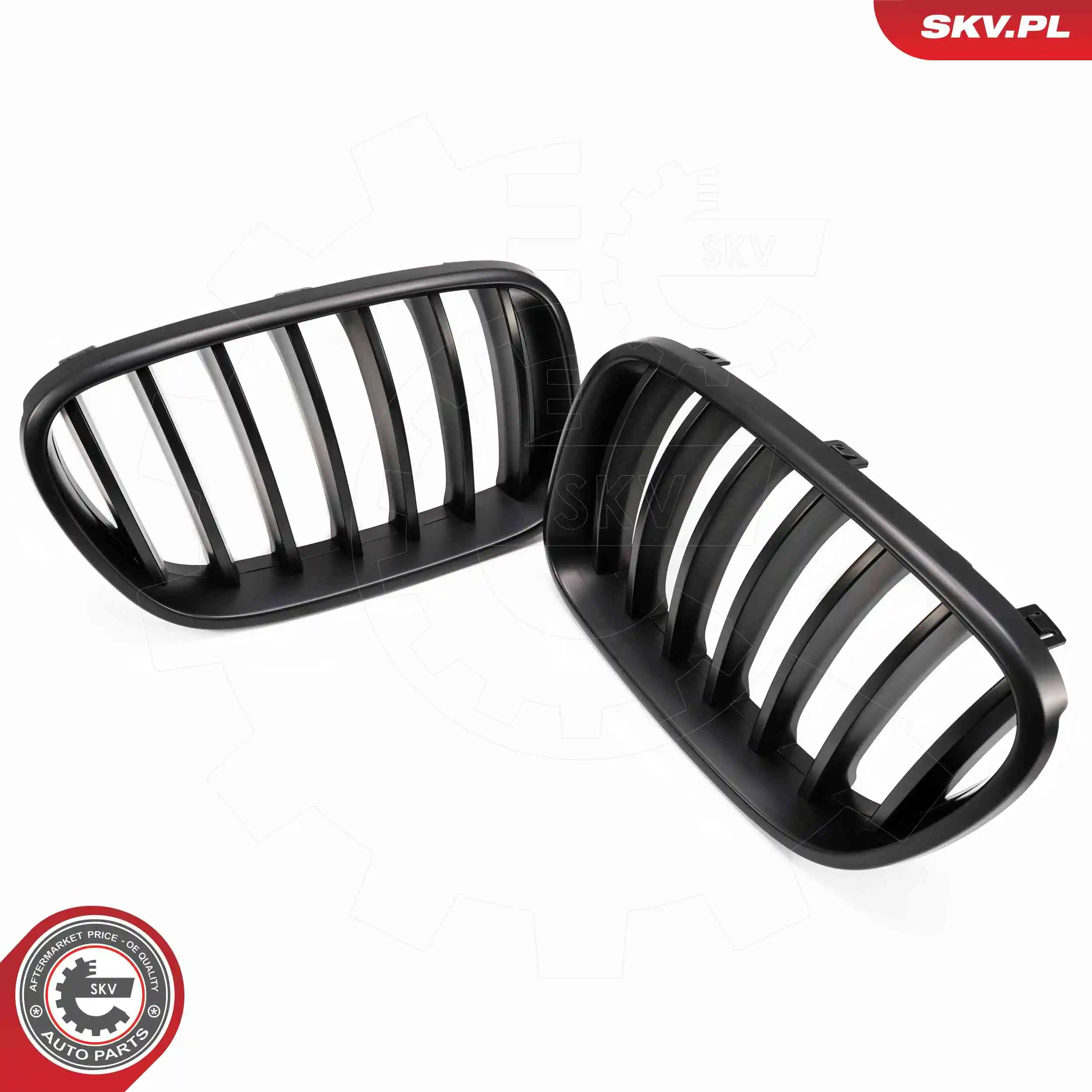 ESEN SKV 66SKV249 Radiator Grille