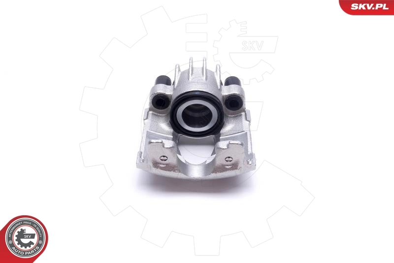 Brake Caliper 55SKV761