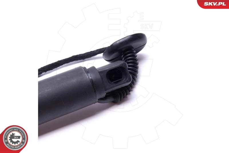 Electric Motor, tailgate 52SKV922