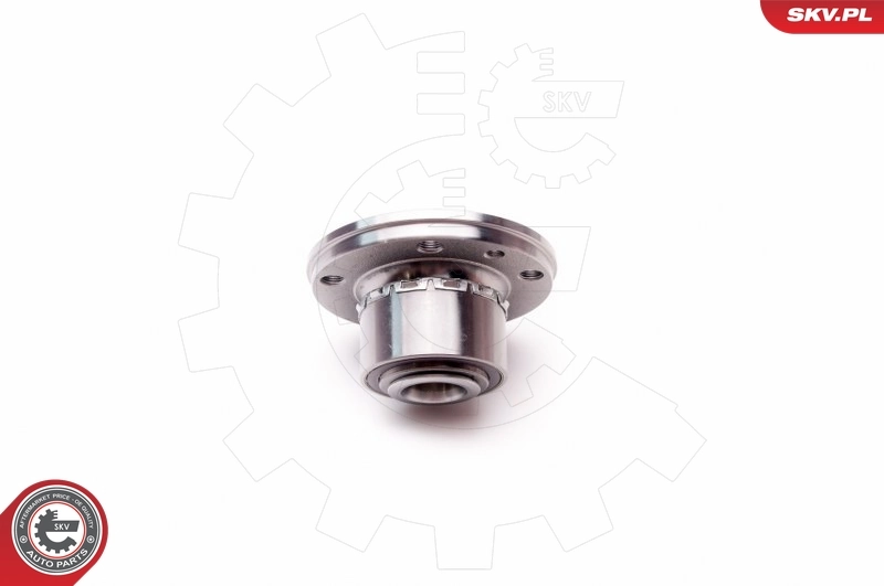 Wheel Bearing Kit 29SKV024