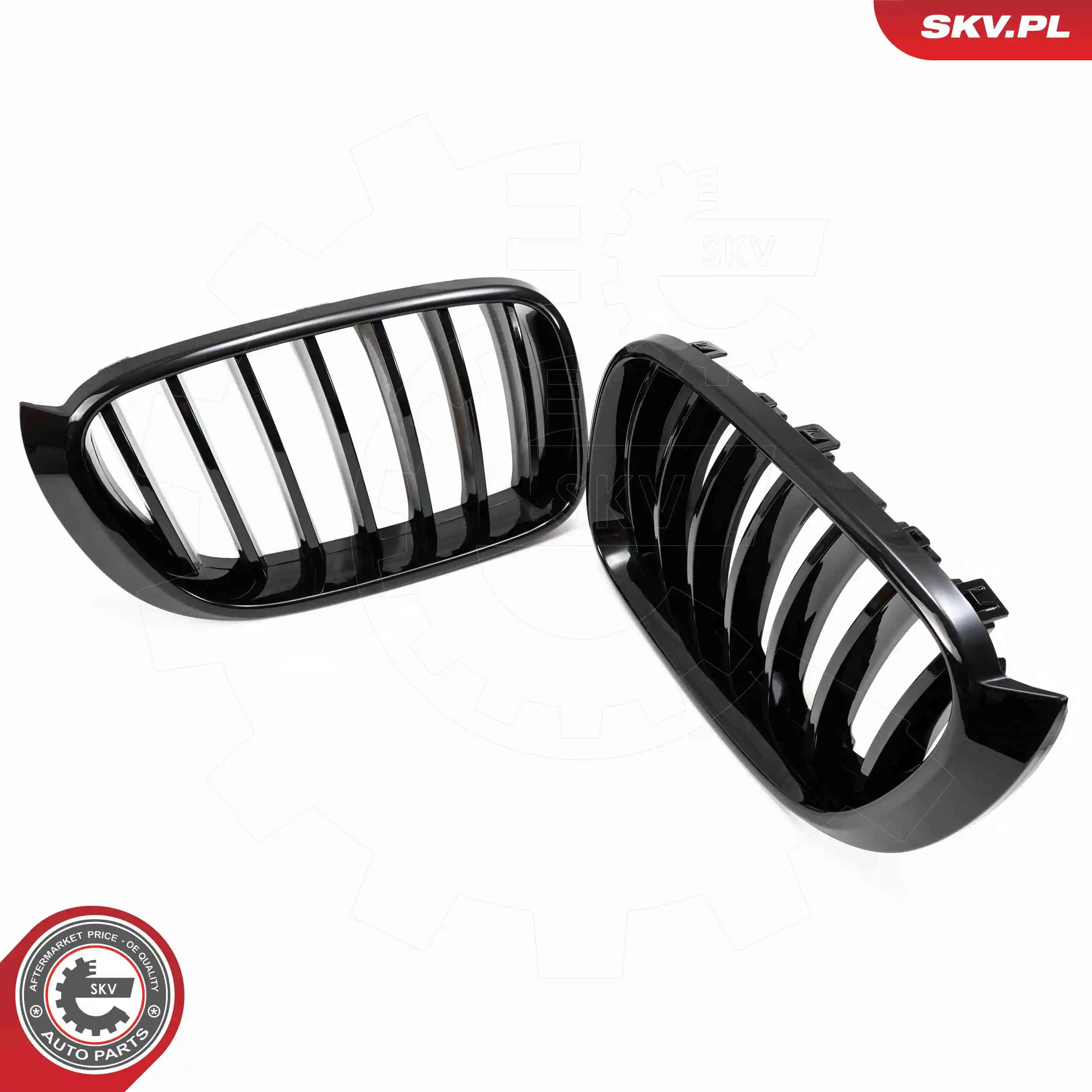 ESEN SKV 66SKV254 Radiator Grille