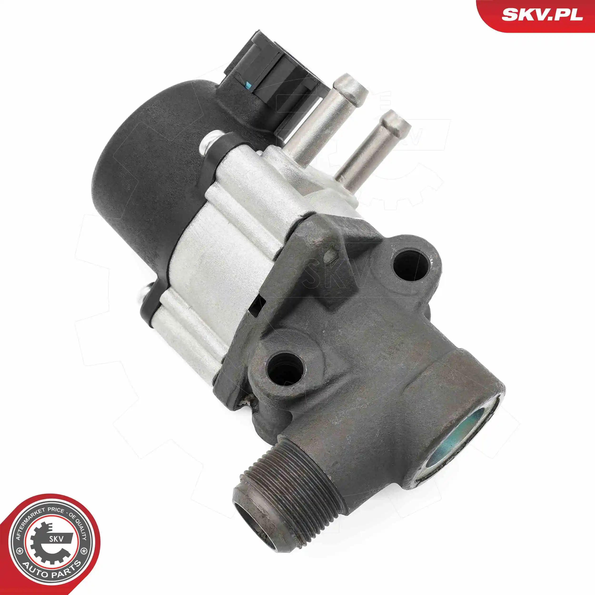 ESEN SKV 14SKV271 EGR Valve