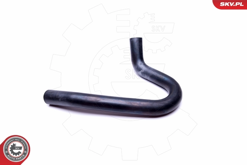 Radiator Hose 43SKV878
