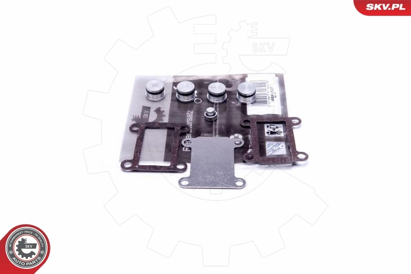 Repair Kit, intake manifold module 49SKV527
