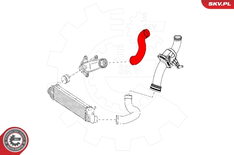 Charge Air Hose 43SKV177
