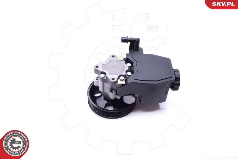 Hydraulic Pump, steering 10SKV269