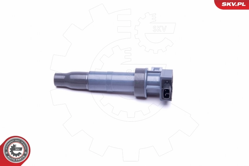 Ignition Coil 03SKV313