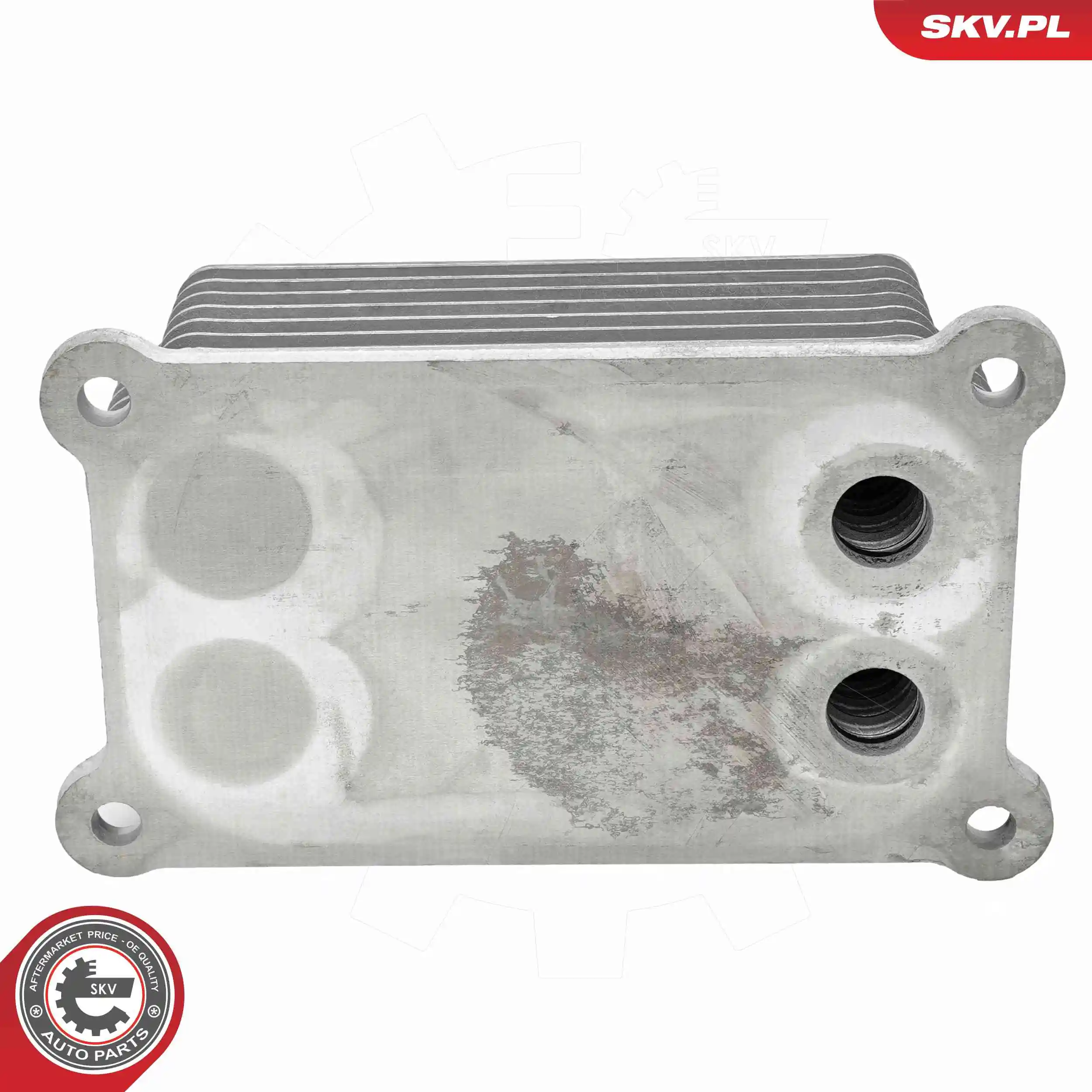 Oil Cooler, engine oil 31SKV339