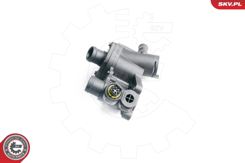 Thermostat, coolant 20SKV019