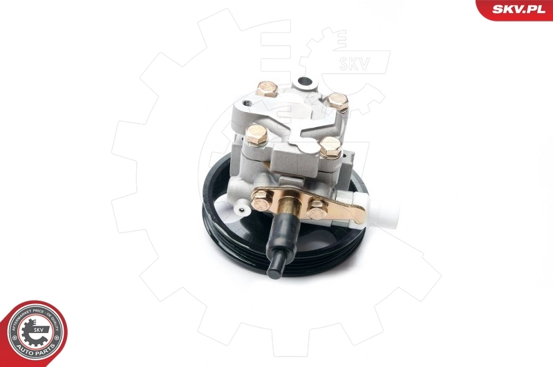 Hydraulic Pump, steering 10SKV228