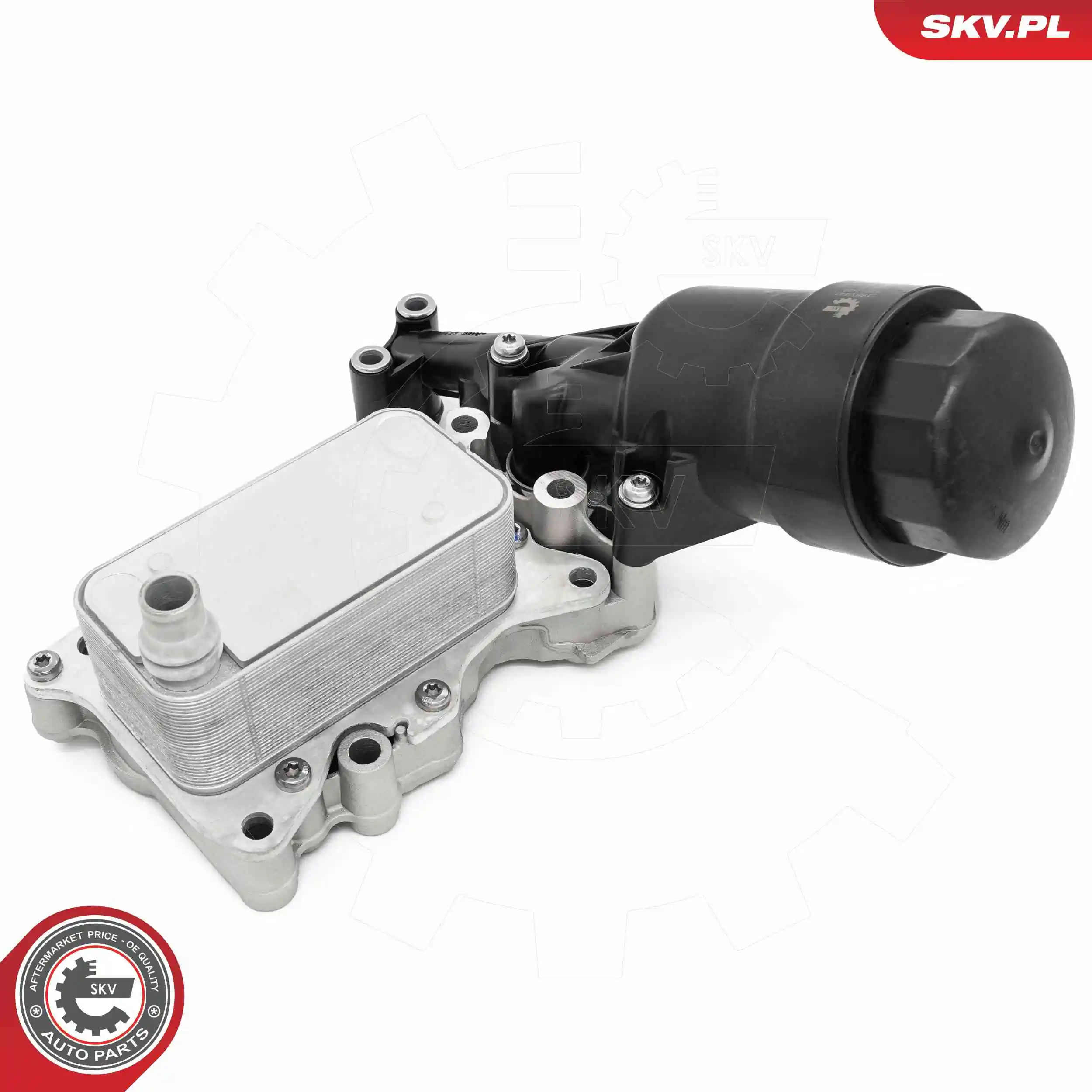 Oil Cooler, engine oil 31SKV441