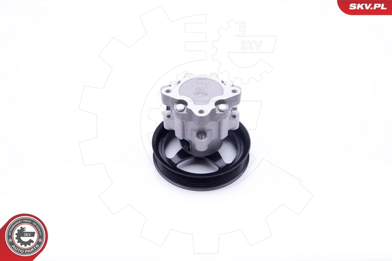 Hydraulic Pump, steering 10SKV266