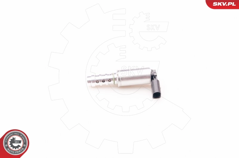 Control Valve, camshaft adjustment 39SKV009