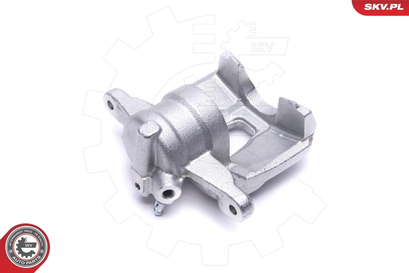 Brake Caliper 56SKV301