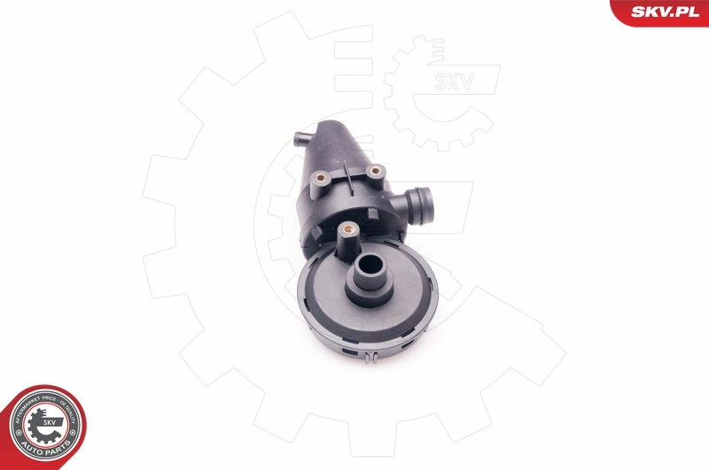 Valve, crankcase ventilation 31SKV038