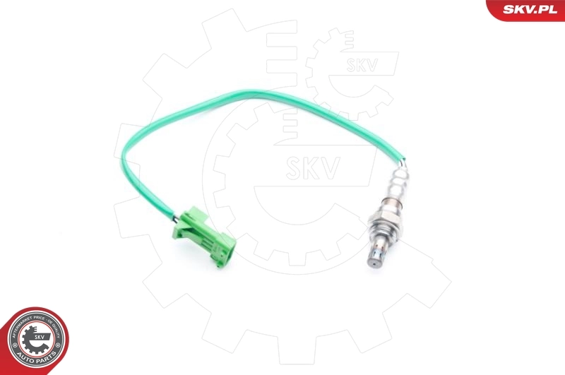 Oxygen Sensor 09SKV671