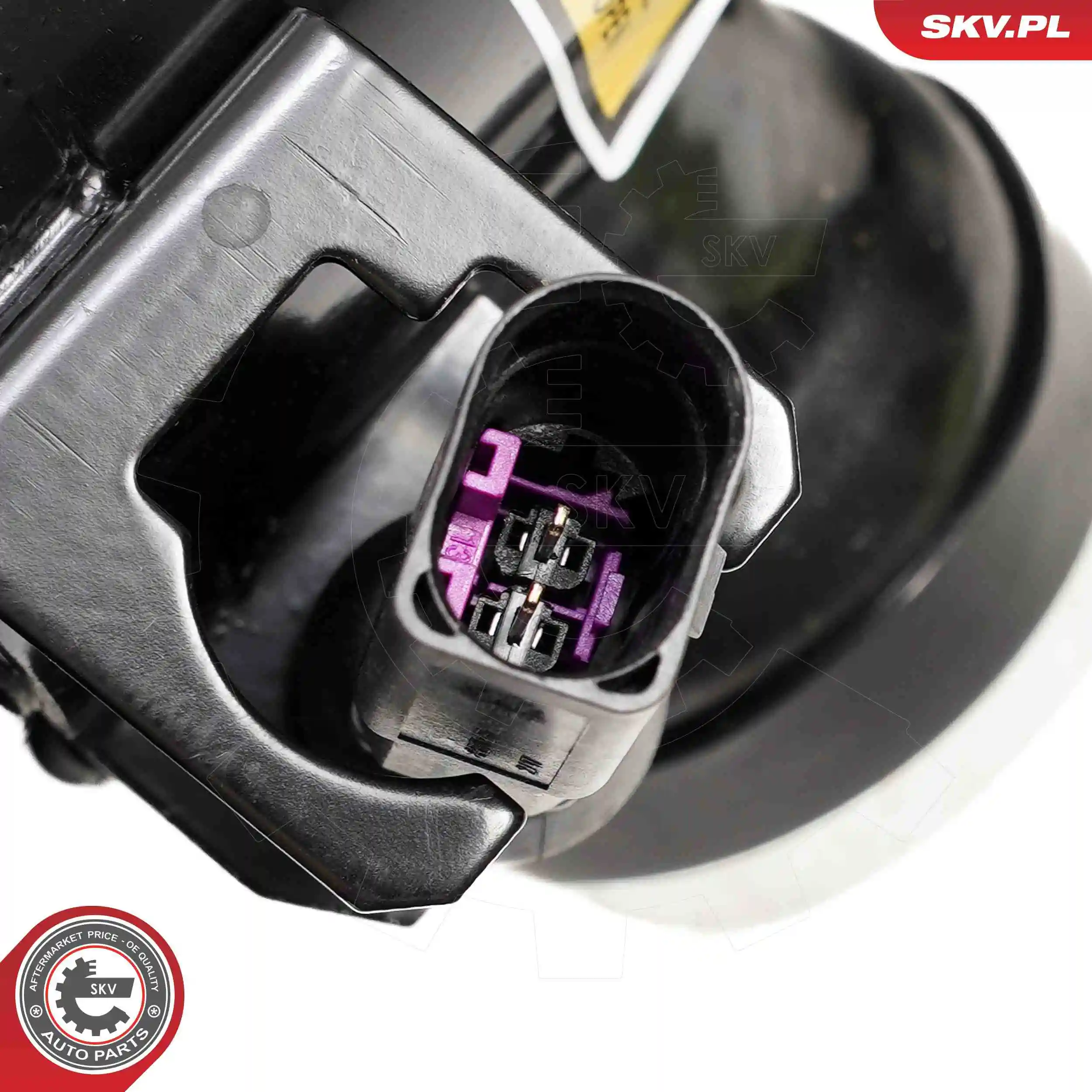 Air Suspension Strut 58SKV703