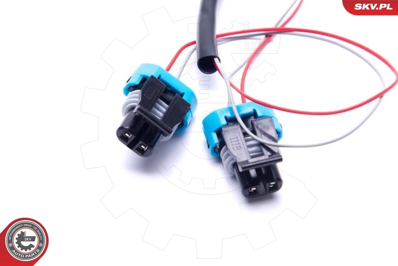 Switch, tailgate release 16SKV275