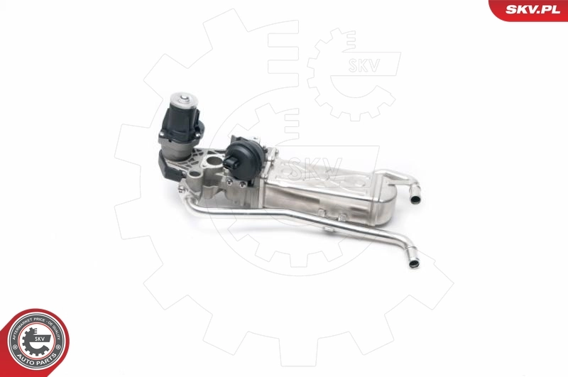 EGR Valve 14SKV096