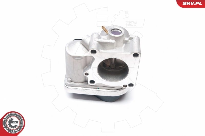 Throttle Body 12SKV042