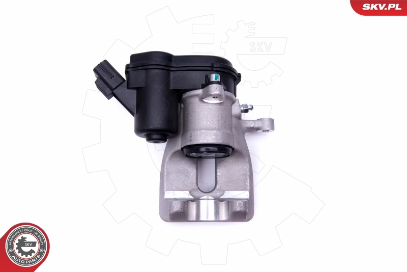 Brake Caliper 46SKV753