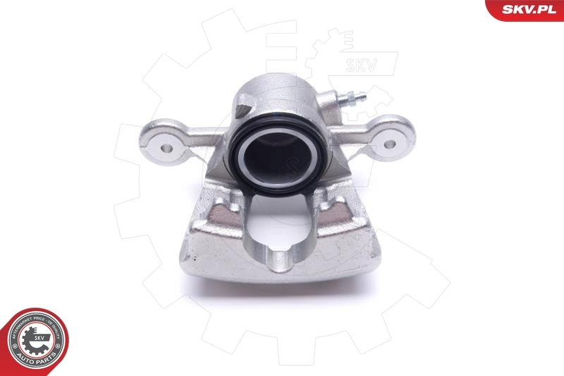 Brake Caliper 55SKV651
