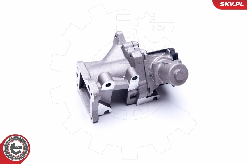 EGRバルブ 14SKV171