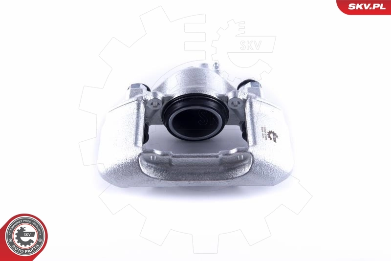 Brake Caliper 55SKV301