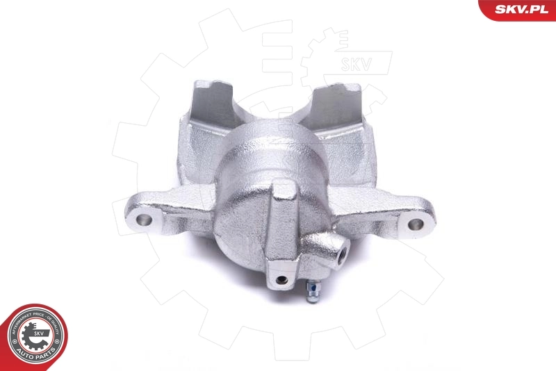 Brake Caliper 56SKV301