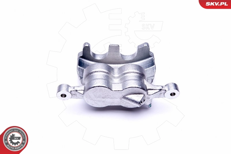 Brake Caliper 50SKV011