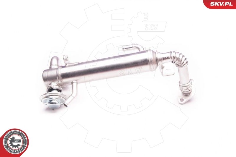 EGR Valve 14SKV122