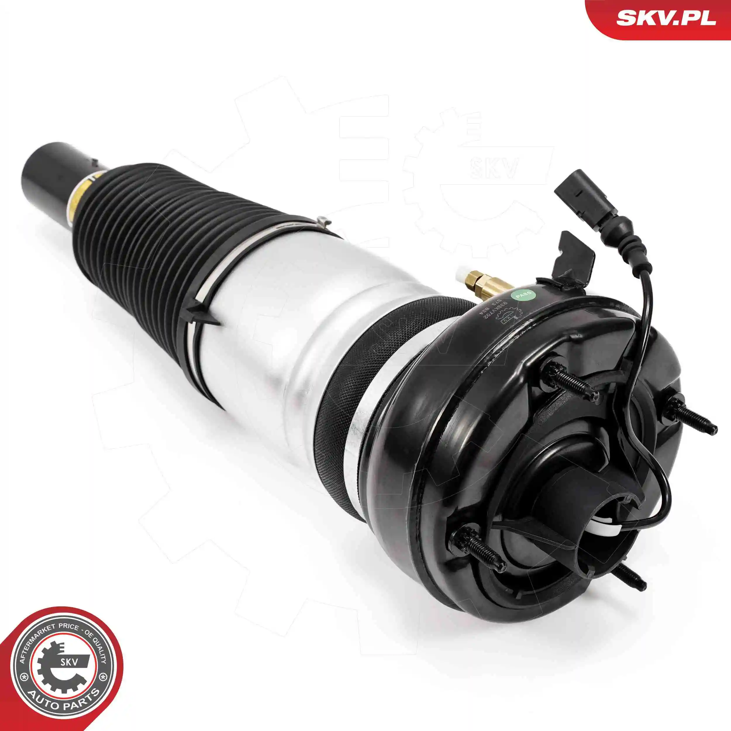 Air Suspension Strut 58SKV702
