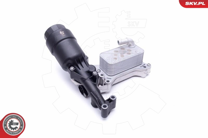 Oil Cooler, engine oil 31SKV171